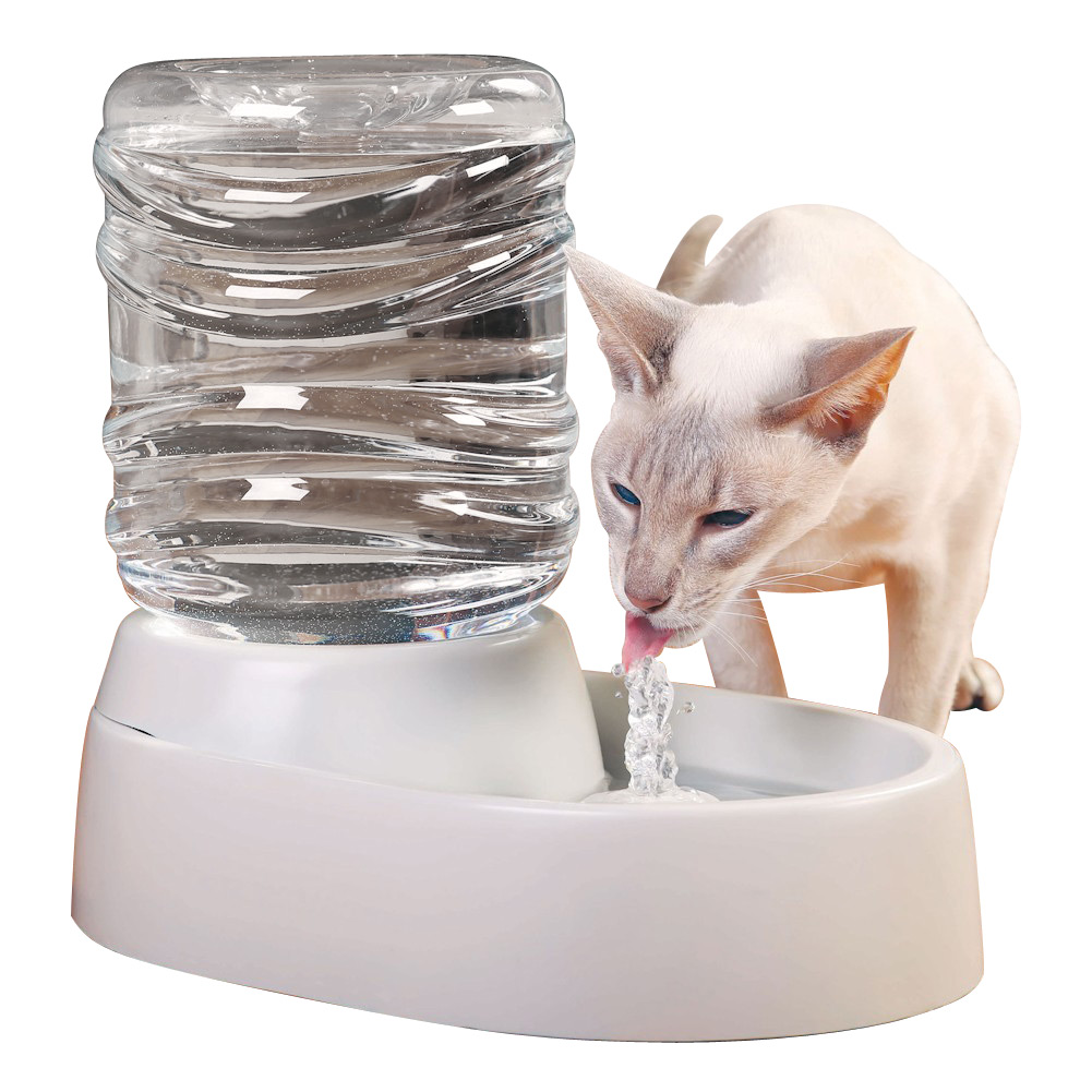 cat puts toys in water dish